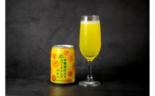 本物果汁入り　スパークリングみかん　280ml　24缶入り×1ケース□ 2330353 - 静岡県静岡市