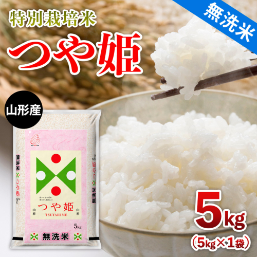 令和7年産 山形産 【無洗米】 特別栽培米 つや姫 5kg FY25-354 2330463 - 山形県山形市
