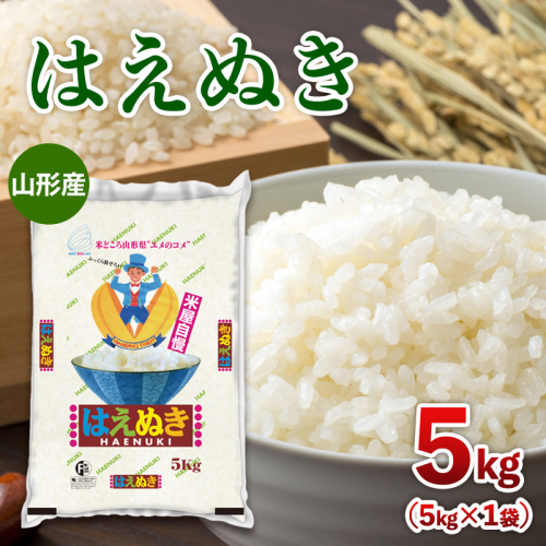令和7年産 山形産 はえぬき 5kg FY25-350 2330495 - 山形県山形市