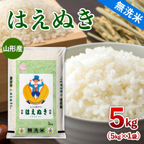 【無洗米】 山形産 はえぬき 5kg FZ26-902 2330496 - 山形県山形市