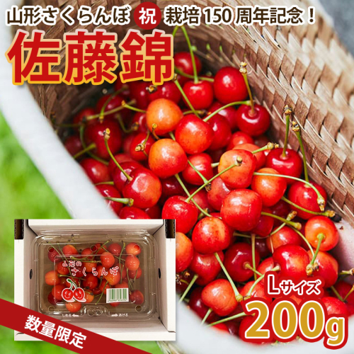 山形さくらんぼ (祝)栽培150周年記念！佐藤錦 200g L玉 数量限定！【令和8年産先行予約】FS25-060 2330499 - 山形県山形市