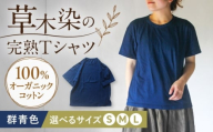 オーガニックコットン 完熟Tシャツ [群青色]Lサイズ / オーガニック コットン 綿100 手染め 草木染め Tシャツ 半袖 トップス ファッション インナー 女性用 レディース 男性用 メンズ ユニセックス 男女兼用 ギフト 贈答 プレゼント / 大村市 / ISTIST [ACZW056-3]