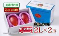 【2ヶ月定期便】最高級ブランド『太陽のタマゴ』2Lサイズ2個入り【糖度15度以上】宮崎県西都市産完熟マンゴー＜7.5-13＞宮崎完熟マンゴー 果物 フルーツ 甘い【先行予約】