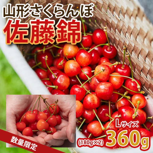 山形旬の果物！さくらんぼが届く！人気サイズ！佐藤錦 360g L玉 【令和9年産先行予約】FS25-061 2330555 - 山形県山形市