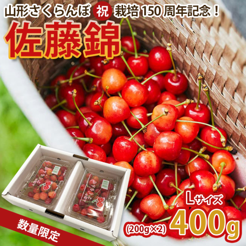 山形さくらんぼ (祝)栽培150周年記念！佐藤錦 400g(200g×2パック) L玉 数量限定！【令和8年産先行予約】FS25-067 2330559 - 山形県山形市