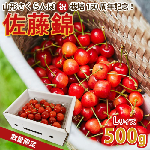 山形さくらんぼ (祝)栽培150周年記念！佐藤錦 500g L玉 数量限定！【令和8年産先行予約】FS25-068 2330647 - 山形県山形市