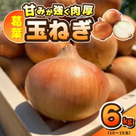 【先行予約】葛葉玉ねぎ 6kg（10～15玉） 010B1773