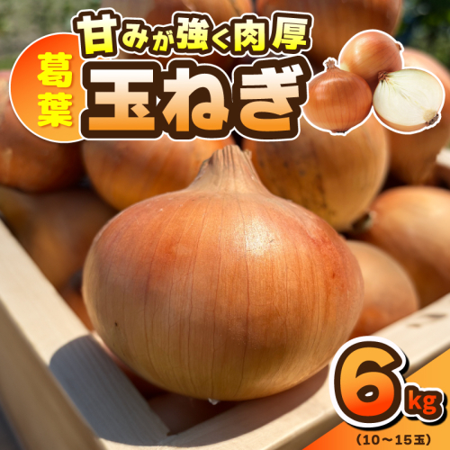 【先行予約】葛葉玉ねぎ 6kg【10〜15玉 泉佐野市 泉州たまねぎ 肉厚 甘い】 010B1773 2331098 - 大阪府泉佐野市
