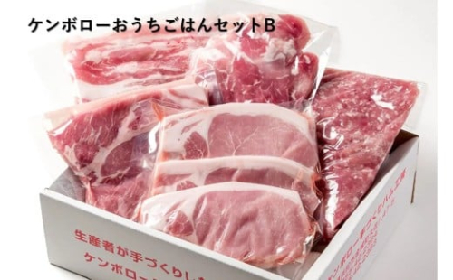 おうちごはんセットB（ステーキ２種、スライス肉、豚ミンチセット） 【002_1973】 2331186 - 島根県浜田市