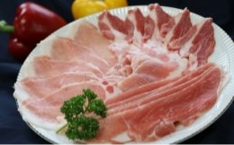 【ふるさと納税】ワイントン丸ごとしゃぶしゃぶ肉セット(松)12kg G-202