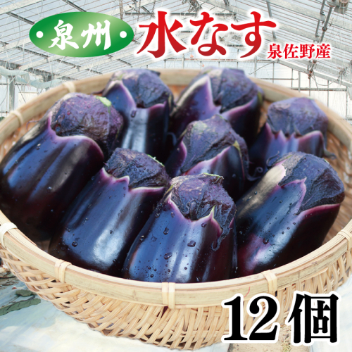 【お歳暮対応】泉州 泉佐野産 ハウス水なす 12個 夏旬の水なすを冬にどうぞ！ 010B1061o 2332872 - 大阪府泉佐野市