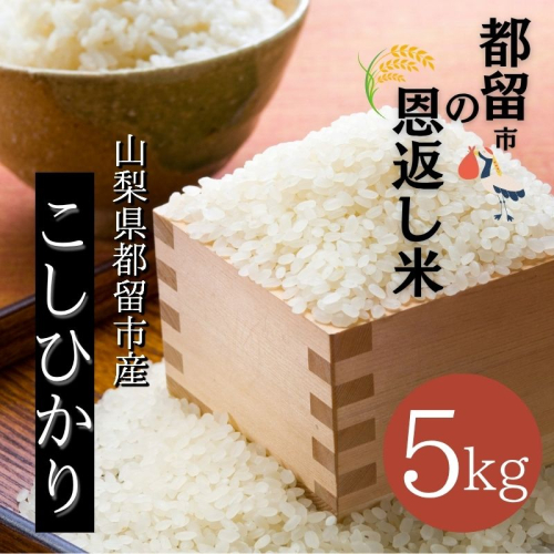 【令和７年産新米】山梨県都留市産こしひかり　都留市の恩返し米5kg｜こめ　米　新米　都留　山梨　コシヒカリ 2332877 - 山梨県都留市
