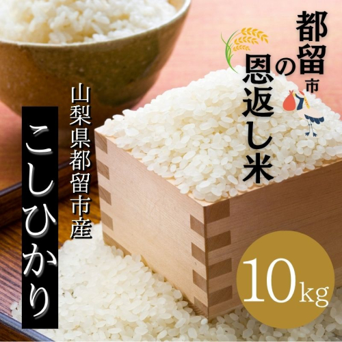 【令和７年産】山梨県都留市産こしひかり　都留市の恩返し米「都留市の恩返し米」10kg（5kg×２）｜こめ　米　新米　都留　山梨　コシヒカリ 2332878 - 山梨県都留市