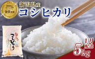 【2026年1月発送】令和7年産 コシヒカリ 5kg 新潟県産 玄米不可 新潟県 新潟米 新発田産 新発田 お米 米 こめ コシヒカリ 新発田ファーム 数量限定 新発田ファーム 新潟 新発田 shibatafarm004_2026_01