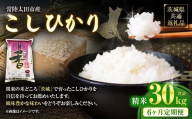 [6ヶ月定期便] [令和7年産 新米] 茨城県産 こしひかり 精米 5kg (茨城県共通返礼品・常陸太田市産) 5kg×6ヶ月 (計30kg) コシヒカリ 精米 米 お米 こめ おこめ コメ 白米 ご飯 ごはん ギフト 贈り物 おすすめ 定期便 国産