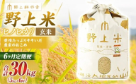 [6か月定期便] 玄米 野上米 5kg×6回 計30kg [2025年10月下旬より発送予定] ヒノヒカリ 米 こめ コメ お米 常温 国産