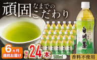 【6回定期便】 白川茶ペットボトル 500ml×24本入 緑茶 お茶 ペットボトル 500ml ケース 白川町 / 白川園本舗 [AWAT007]