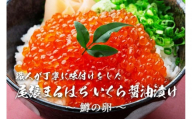 いくら 醤油漬け 400g(100g×4P) 鱒の卵 冷凍 尾張まるはち