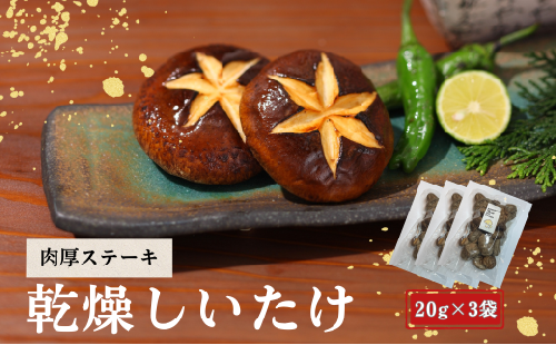 大分県産 しいたけ 津久見で育てた肉厚ステーキ用乾燥しいたけ 20g×3袋　|　津久見市 干し椎茸 菌床しいたけ きのこ 国産 産地直送 2333627 - 大分県津久見市
