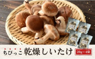 大分県産 しいたけ 津久見で育てたちびっこ乾燥しいたけ 20g×4袋 　|　津久見市 干し椎茸 菌床しいたけ きのこ 小粒 国産 産地直送