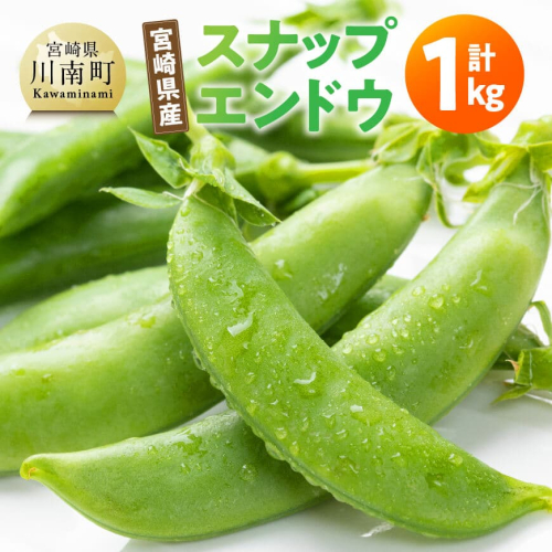 宮崎県産　スナップエンドウ1kg 【 宮崎県産 川南町産 スナップエンドウ 】 2333891 - 宮崎県川南町