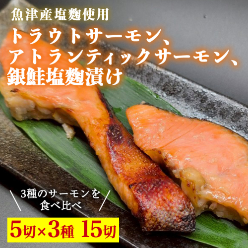 トラウトサーモン、アトランティックサーモン、銀鮭、塩麹漬け各5切ずつセット ※北海道・沖縄・離島への配送不可 2333938 - 富山県魚津市