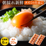 【累計600万個突破！】★TVで紹介されました★【定期便】タズミの卵Ｍサイズ（20個×6か月）030AB02N.／こだわり卵 市川町産 兵庫県産 たまご たまごかけご飯 玉子 生卵 鶏卵 タマゴ 卵焼き TKG 6か月 定期便