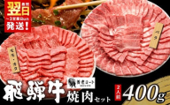 【12月発送】 贅沢！ 飛騨牛 焼肉セット 400g 2人前 牛肉 和牛 肉 焼肉 BBQ 霜降り カルビ 赤身 モモ カタ 東白川村 岐阜 養老ミート