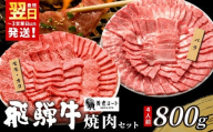 【12月発送】 贅沢！ 飛騨牛 焼肉セット 計800g 4人前 牛肉 和牛 肉 焼肉 BBQ 霜降り カルビ 赤身 モモ カタ 東白川村 岐阜 養老ミート