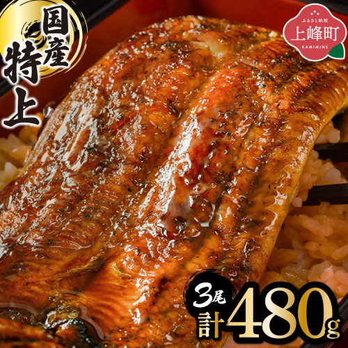 《2025年12月発送》『国産』うなぎ蒲焼 3尾 計480g [B-1125-PE(12)] 2334393 - 佐賀県上峰町