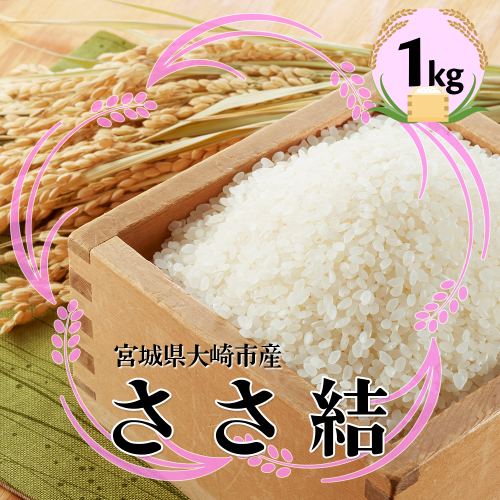 宮城県産ブランド米 令和7年産 ささ結 1kg｜炊きたてはもちろん冷めても美味しい白米 2334458 - 宮城県大崎市