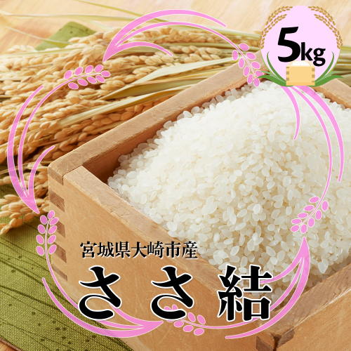 宮城県産ブランド米 令和7年産 令和7年産 ささ結 5kg｜炊きたてはもちろん冷めても美味しい白米 2334460 - 宮城県大崎市