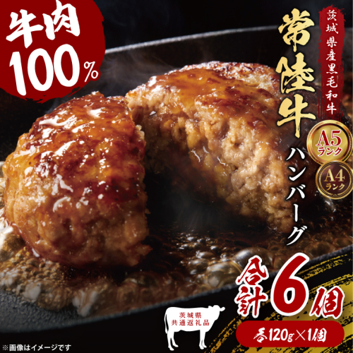 【茨城県共通返礼品】常陸牛100％ ハンバーグ 120g×6個｜ブランド牛 銘柄牛 和牛 黒毛和牛 国産 A5・A4ランク 等級 お肉 牛肉 真空 小分け 個包装 茨城県 大子町（DD020） 2334497 - 茨城県大子町