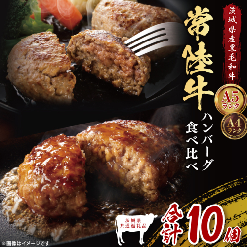【茨城県共通返礼品】常陸牛100％ vs 常陸牛入りハンバーグの食べ比べセット （計10個入り）常陸牛使用｜ブランド牛 銘柄牛 和牛 黒毛和牛 国産 A5・A4ランク 等級 お肉 牛肉 真空 小分け 個包装 茨城県 大子町（DD021） 2334498 - 茨城県大子町