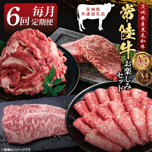 【6回定期便】最高級A4.5ランク常陸牛 お楽しみセット【茨城県共通返礼品】｜ブランド牛 銘柄牛 和牛 黒毛和牛 国産 A5・A4ランク 等級 お肉 牛肉 ロース もも 切り落とし ステーキ 定期 6ヶ月 毎月 茨城県 大子町（DD005） 2334508 - 茨城県大子町