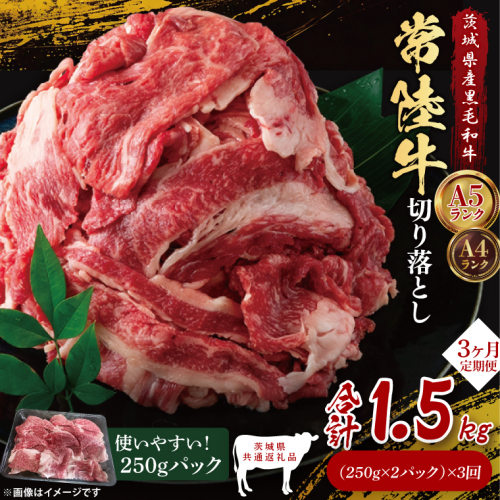【茨城県共通返礼品】【3ヶ月定期便】常陸牛切り落とし500g（250g×2）｜ブランド牛 銘柄牛 和牛 黒毛和牛 国産 A5・A4ランク 等級 お肉 牛肉 牛丼 すき焼き 炒め物 小分け 定期 3回 毎月 茨城県 大子町（DD007） 2334511 - 茨城県大子町