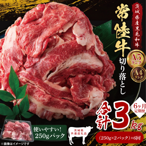 【茨城県共通返礼品】【6ヶ月定期便】常陸牛切り落とし500g（250g×2）｜ブランド牛 銘柄牛 和牛 黒毛和牛 国産 A5・A4ランク 等級 お肉 牛肉 牛丼 すき焼き 炒め物 小分け 定期 6回 毎月 茨城県 大子町（DD008） 2334513 - 茨城県大子町