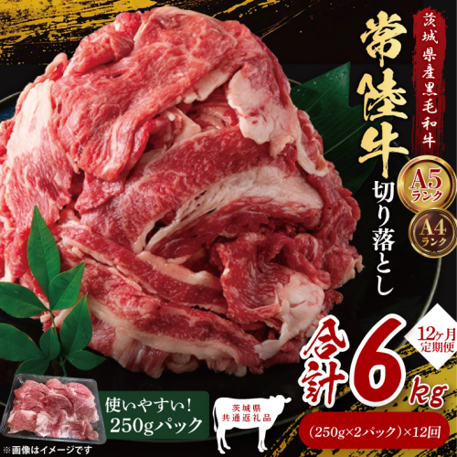 【茨城県共通返礼品】【12ヶ月定期便】常陸牛切り落とし500g（250g×2）｜ブランド牛 銘柄牛 和牛 黒毛和牛 国産 A5・A4ランク 等級 お肉 牛肉 牛丼 すき焼き 炒め物 小分け 定期 12回 毎月 茨城県 大子町（DD009） 2334514 - 茨城県大子町