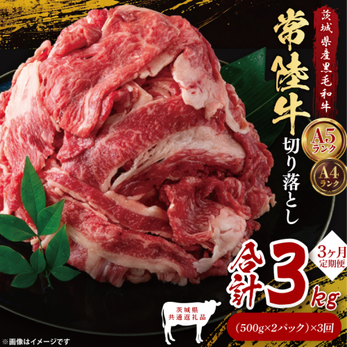 【茨城県共通返礼品】【3ヶ月定期便】常陸牛切り落とし1kg（500g×2）｜ブランド牛 銘柄牛 和牛 黒毛和牛 国産 A5・A4ランク 等級 お肉 牛肉 牛丼 すき焼き 炒め物 小分け 定期 3回 毎月 茨城県 大子町（DD011） 2334517 - 茨城県大子町