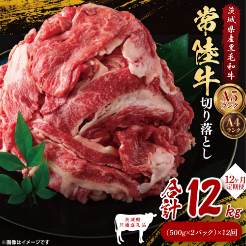 【茨城県共通返礼品】【12ヶ月定期便】常陸牛切り落とし1kg（500g×2）｜ブランド牛 銘柄牛 和牛 黒毛和牛 国産 A5・A4ランク 等級 お肉 牛肉 牛丼 すき焼き 炒め物 小分け 定期 12回 毎月 茨城県 大子町（DD013） 2334519 - 茨城県大子町