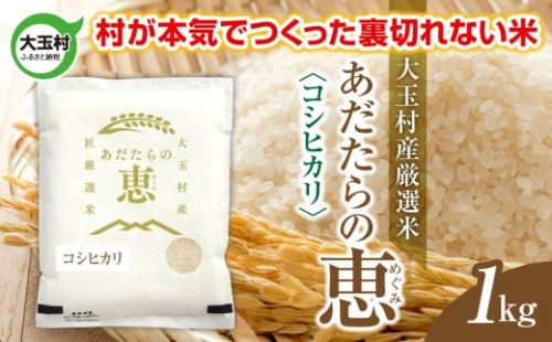 米 大玉村産厳選米「あだたらの恵」（品種：コシヒカリ） 1kg 《 令和7年産  》｜ 福島 大玉村 お米 米作り こしひかり 令和7年 精米 白米 こめ コメ ご飯 送料無料 大玉村農業振興公社 ｜ on-ak-1kg-r7 2334668 - 福島県大玉村