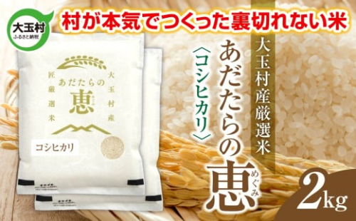 米 大玉村産厳選米「あだたらの恵」（品種：コシヒカリ） 2kg 《 令和7年産  》｜ 福島 大玉村 お米 米作り こしひかり 令和7年 精米 白米 こめ コメ ご飯 送料無料 大玉村農業振興公社 ｜ on-ak-2kg-r7 2334669 - 福島県大玉村