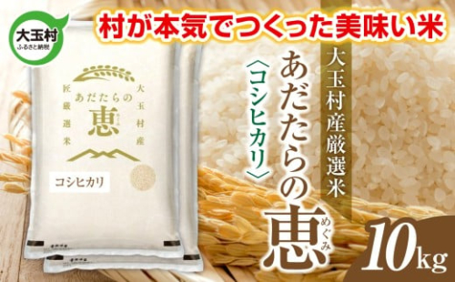 米 大玉村産厳選米「あだたらの恵」（品種：コシヒカリ） 10kg 《 令和7年産  》｜ 福島 大玉村 お米 米作り こしひかり 令和7年 精米 白米 こめ コメ ご飯 送料無料 大玉村農業振興公社 ｜ on-ak-10kg-r7 2334671 - 福島県大玉村