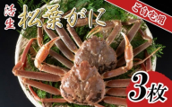 【先行予約】【活生】ご自宅用松葉ガニ 3枚 2025年11月～順次発送予定｜鳥取 日本海 松葉がに 松葉蟹 かに ズワイガニ【22056】