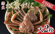 【先行予約】【活生】ご自宅用松葉ガニ 大2枚 2025年11月～順次発送予定｜鳥取 日本海 松葉がに 松葉蟹 かに ズワイガニ【22058】