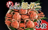 【先行予約】【蒸し】訳あり ご自宅用 親ガニ（セコガニ）3枚 2025年11月～順次発送｜鳥取 岩美 日本海 かに 松葉ガニ ズワイガニ【22067】