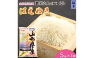 ＜令和7年産＞山形県産＜はえぬき＞精米 5kg(5kg×1袋)【1672659】