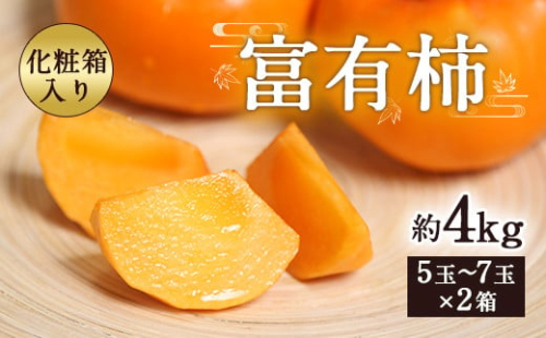 富有柿 合計約4kg 1箱5～7玉×2箱 化粧箱 付き 柿 太秋柿 【2025年11月上旬～12月下旬発送予定】 2335315 - 熊本県益城町