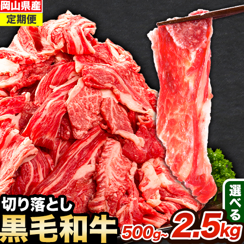 牛肉 【定期便】 肉 黒毛和牛 切り落とし 訳あり 大容量 小分け 500g～2.5kg 1パック 250g《お申込み月翌月から出荷開始》岡山県産 岡山県 笠岡市 お肉 にく カレー 牛丼 牛肉 切り落し 小分け 切落し 牛肉 小分け 牛肉 2335468 - 岡山県笠岡市