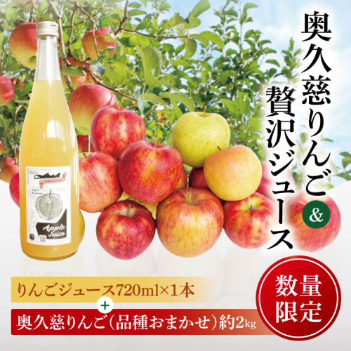 【数量限定】【三村観光りんご園】【10月より順次発送予定】樹上完熟！奥久慈りんご＆贅沢ジュース（品種おまかせ約2kg＆720ml×1本）｜茨城県 大子町 林檎 旬 果物 フルーツ 果実 果汁 飲料 セット 詰合せ ギフト 贈答(BX008) 2335622 - 茨城県大子町